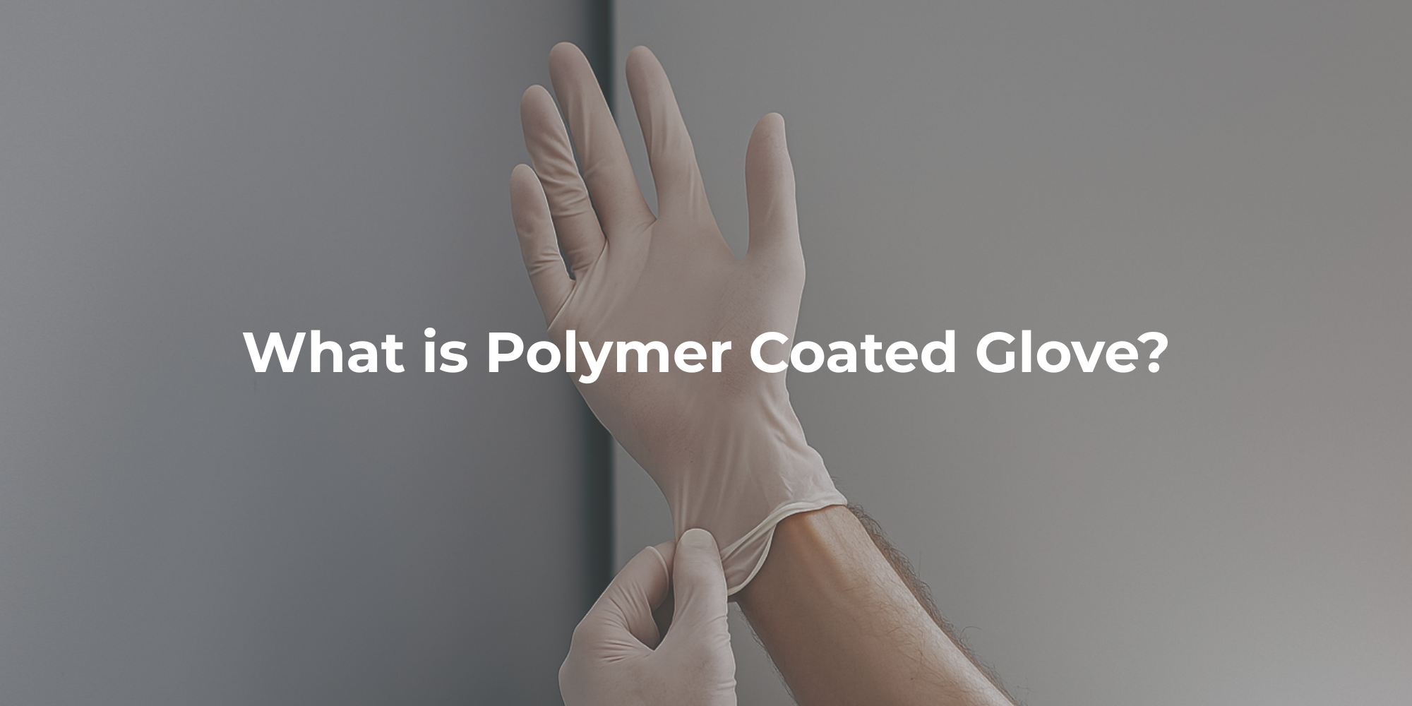 Polymer-coated Disposable Glove