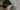 Black Nitrile Glove and its usage