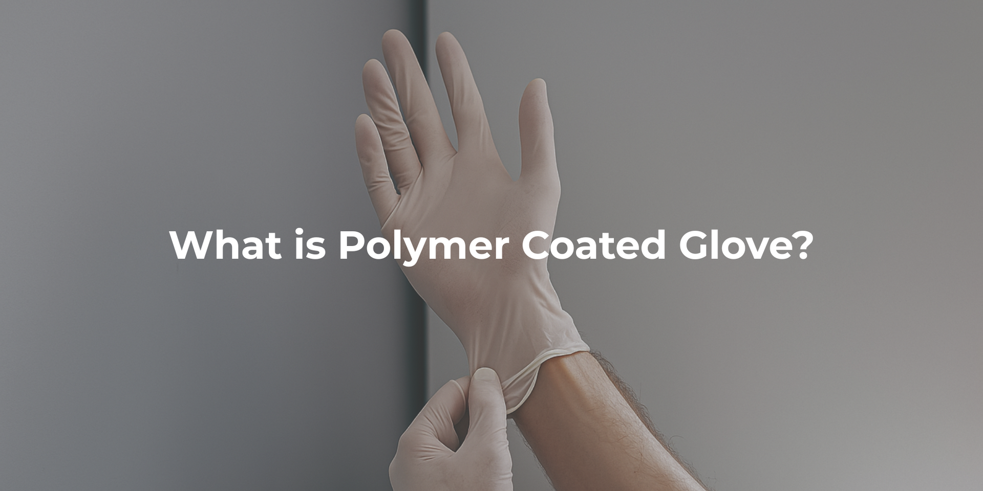 Polymer-coated Disposable Glove